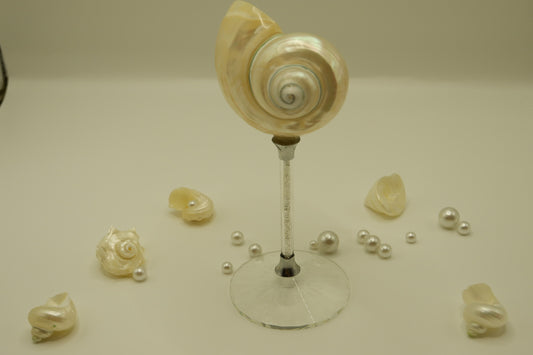 Crystal Conch Cup