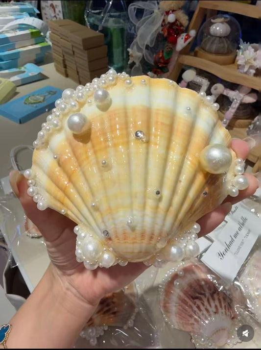 Shell fridge magnet