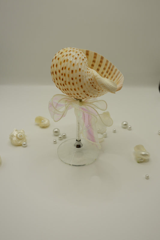 Spotted Conch Cup