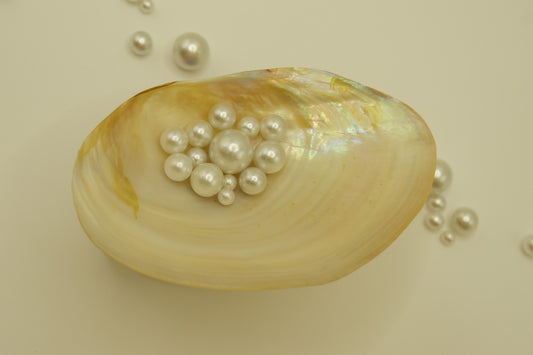 Pearl oyster cup