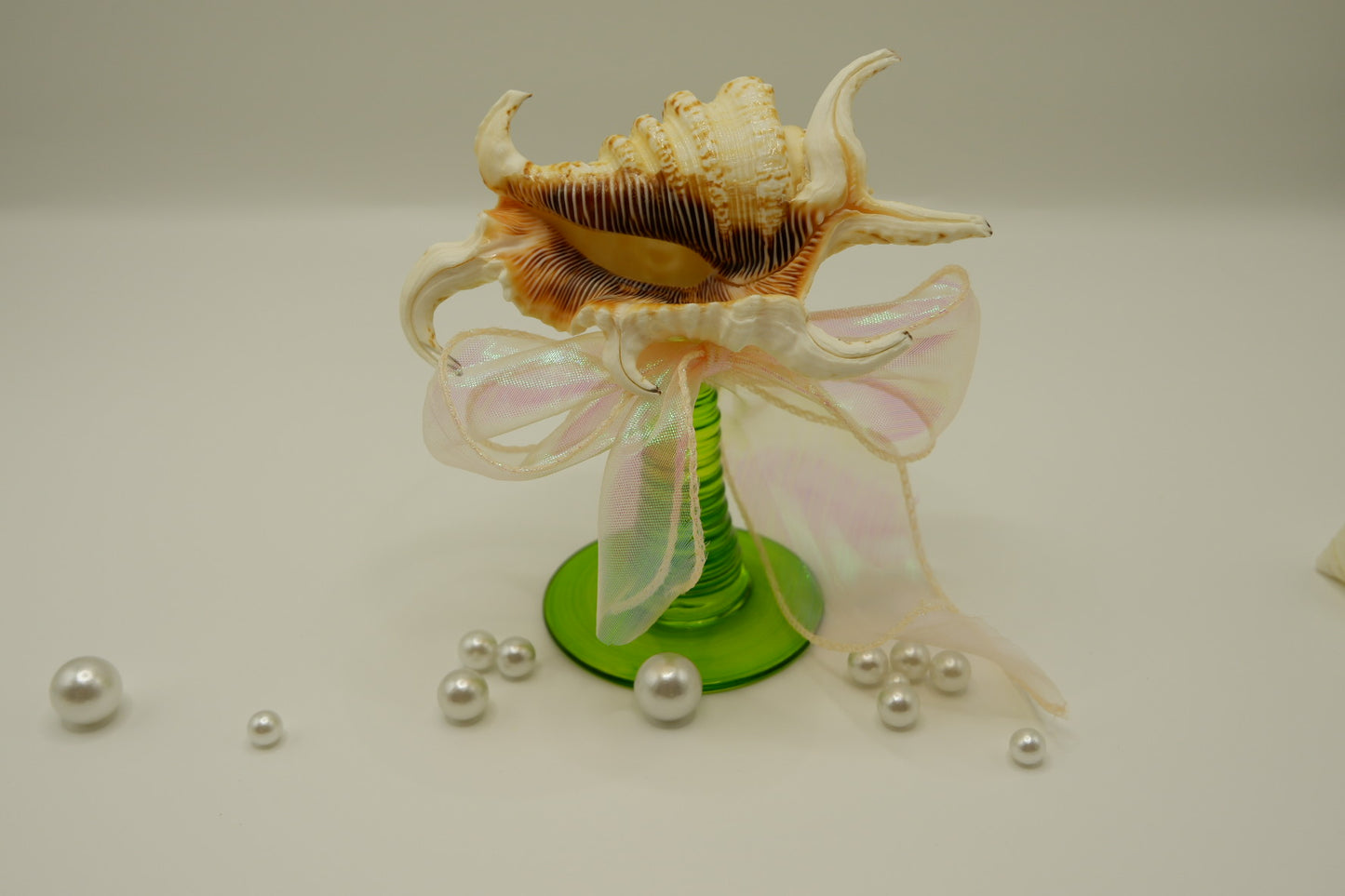 Decorated conch shell cup