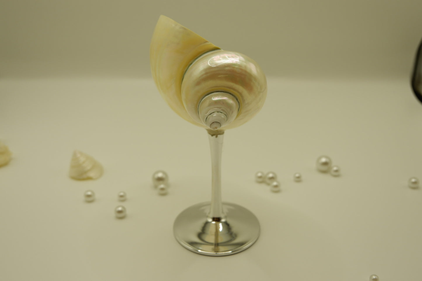 Silver Conch Cup