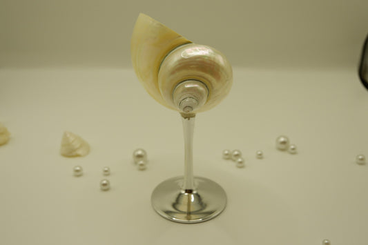 Silver Conch Cup