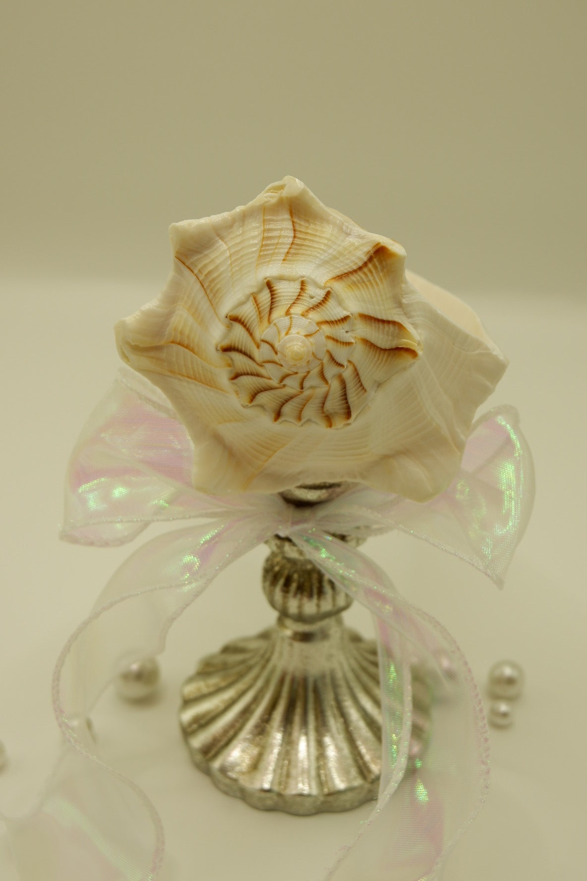 Vintage-style weathered conch shell cup