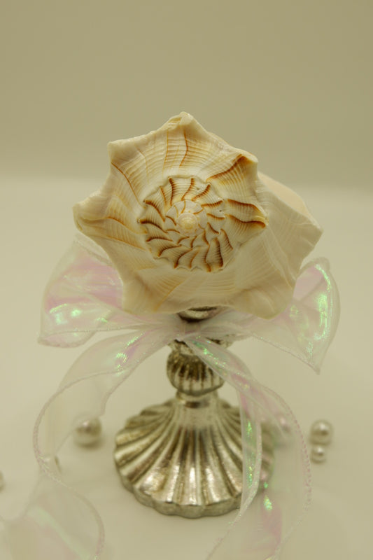 Vintage-style weathered conch shell cup