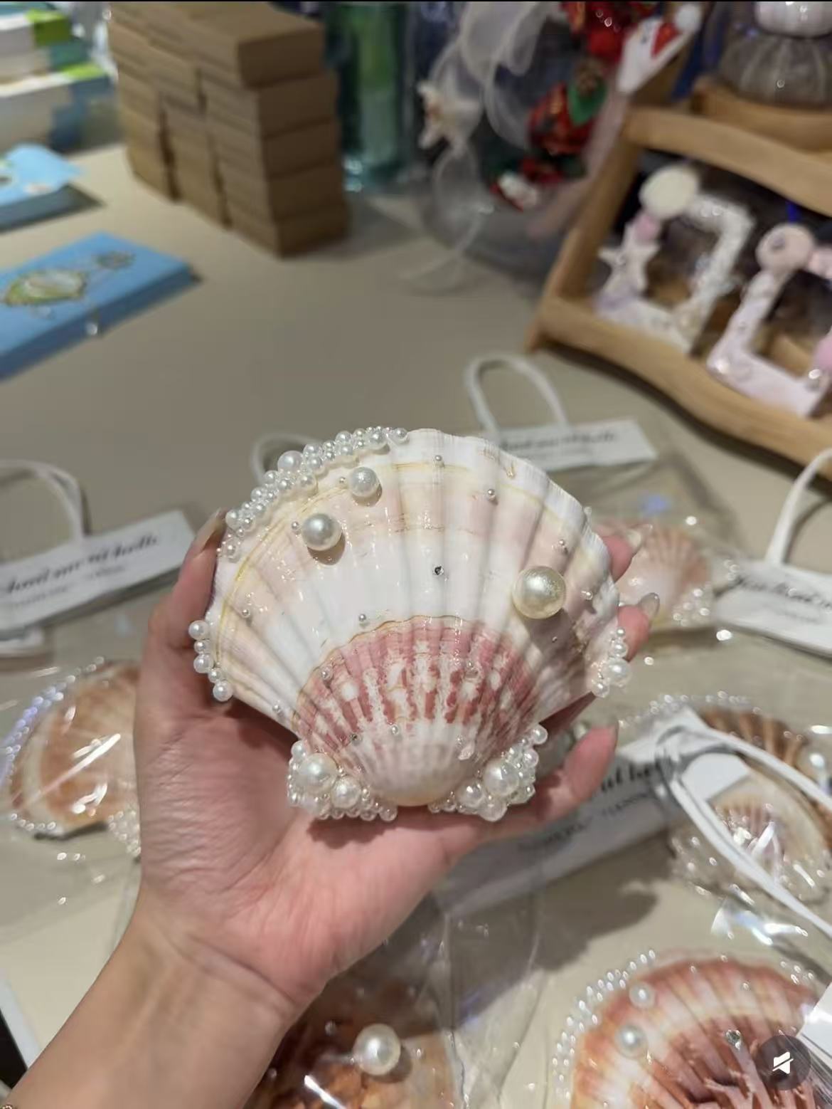 Shell fridge magnet