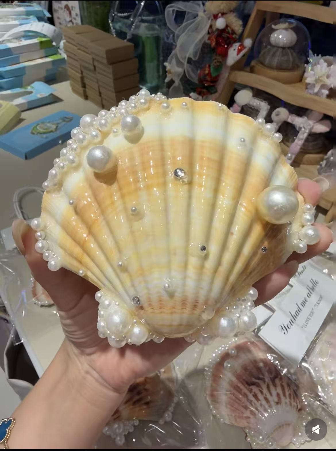 Shell fridge magnet