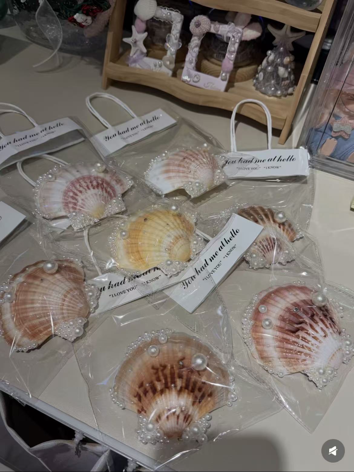 Shell fridge magnet