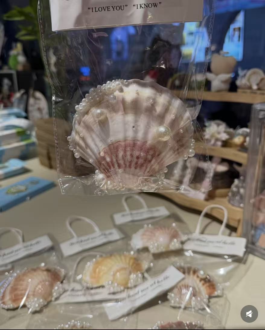 Shell fridge magnet