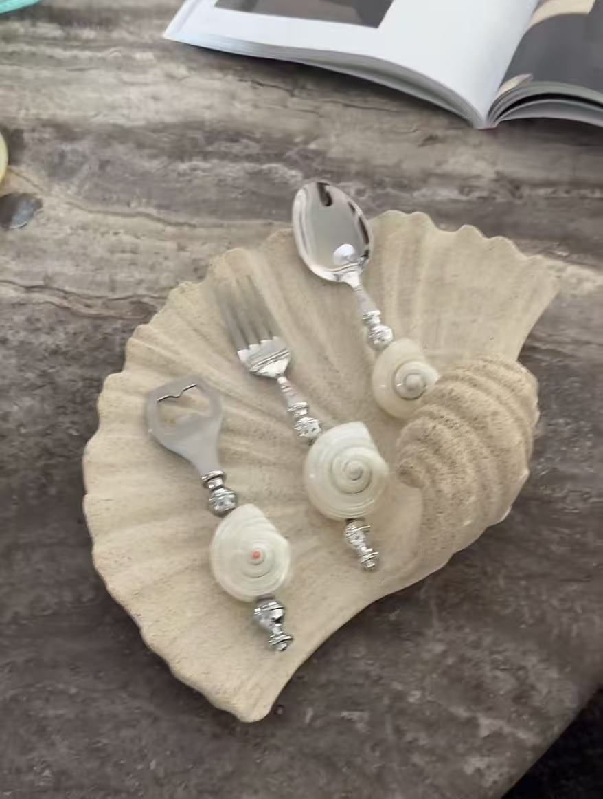 Shell tableware