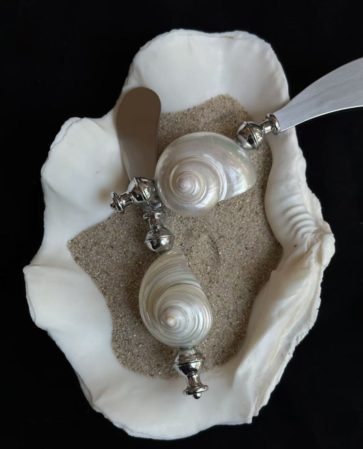 Shell tableware