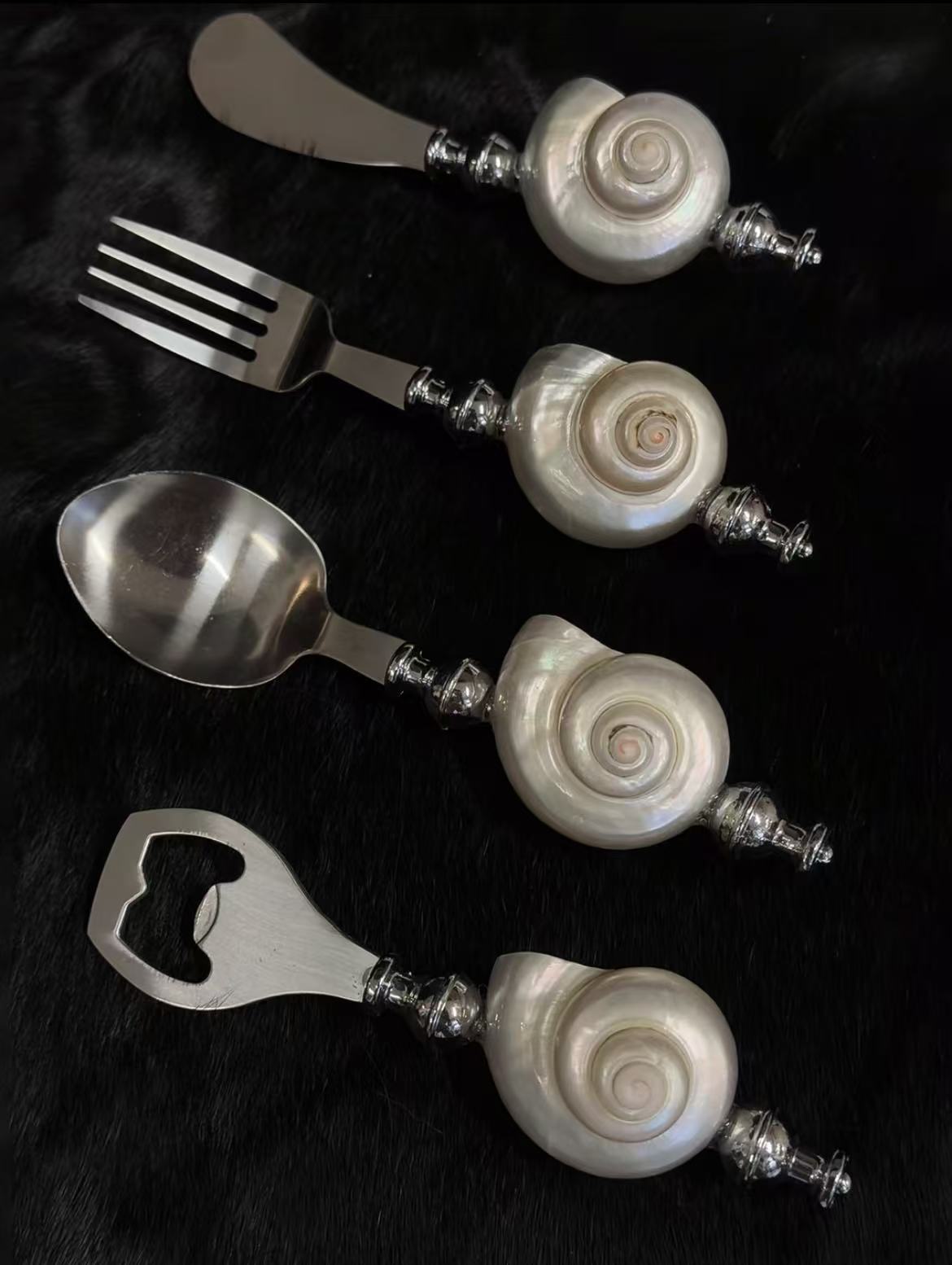 Shell tableware