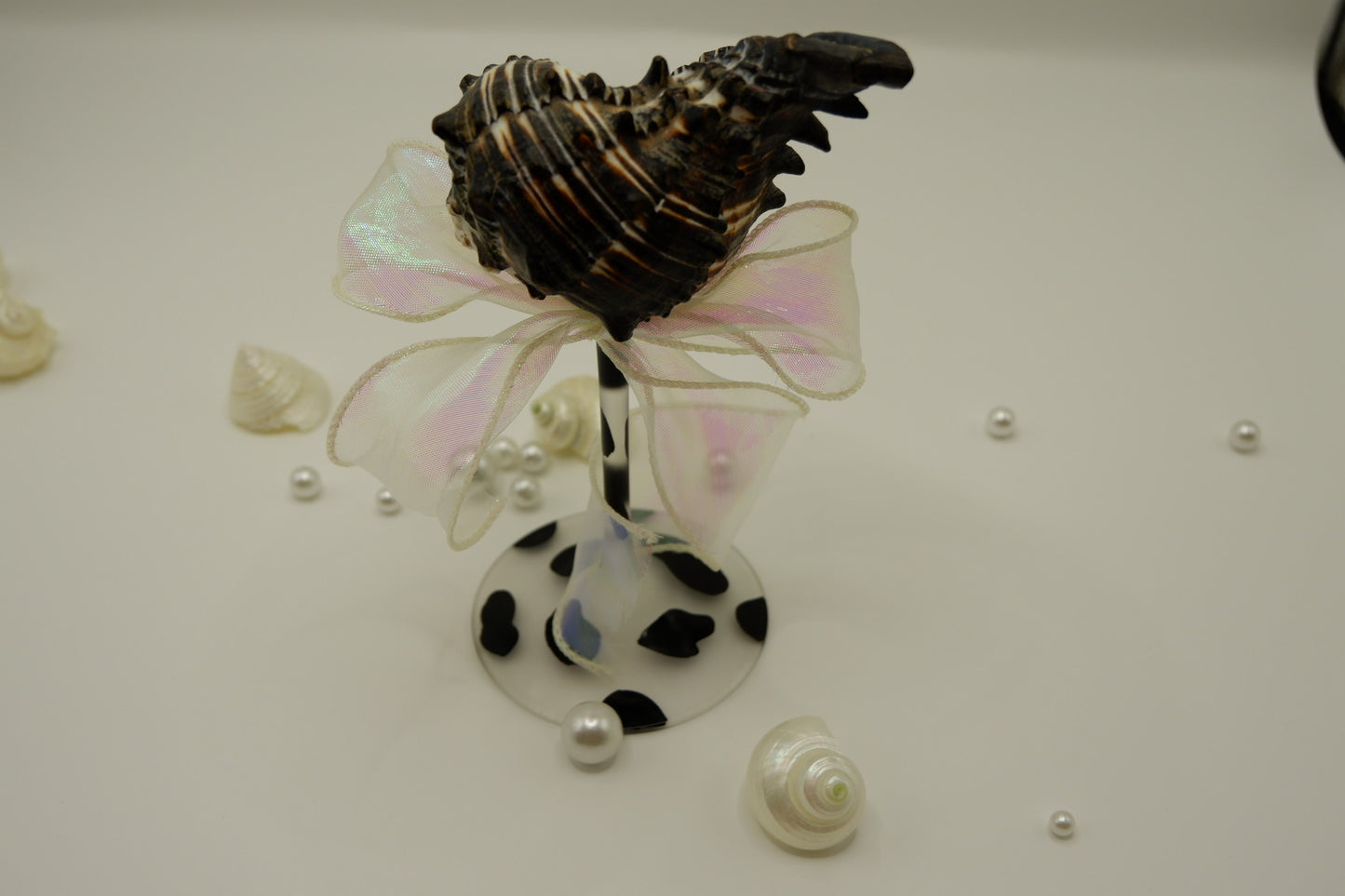 Cow-print conch shell cup