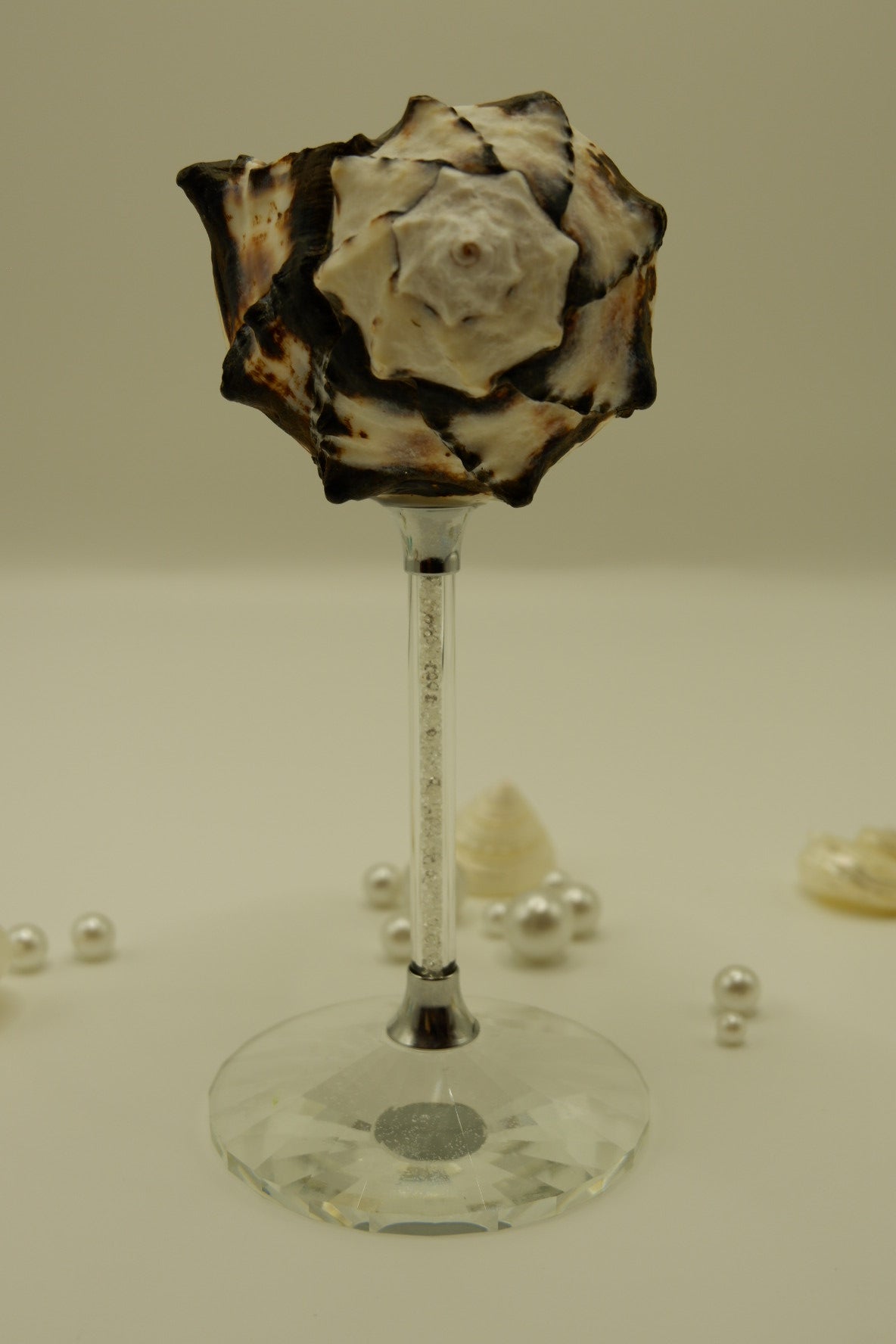 Crystal Black Conch Shell Cup