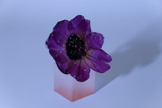 Original Handmade Dried Flower Anemone Ring
