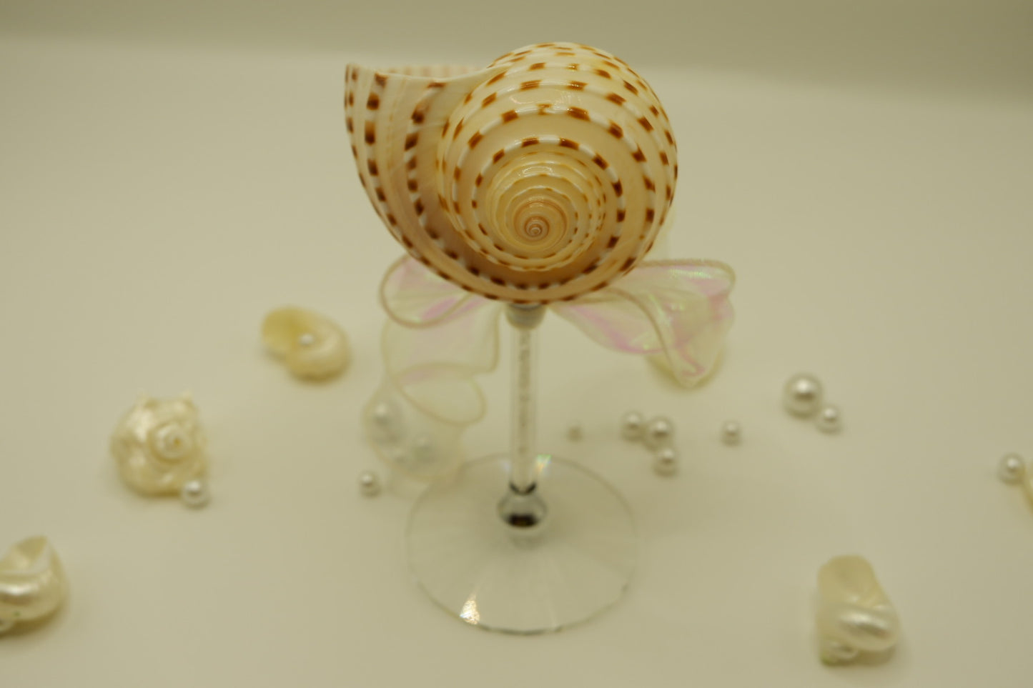 Spotted Conch Cup