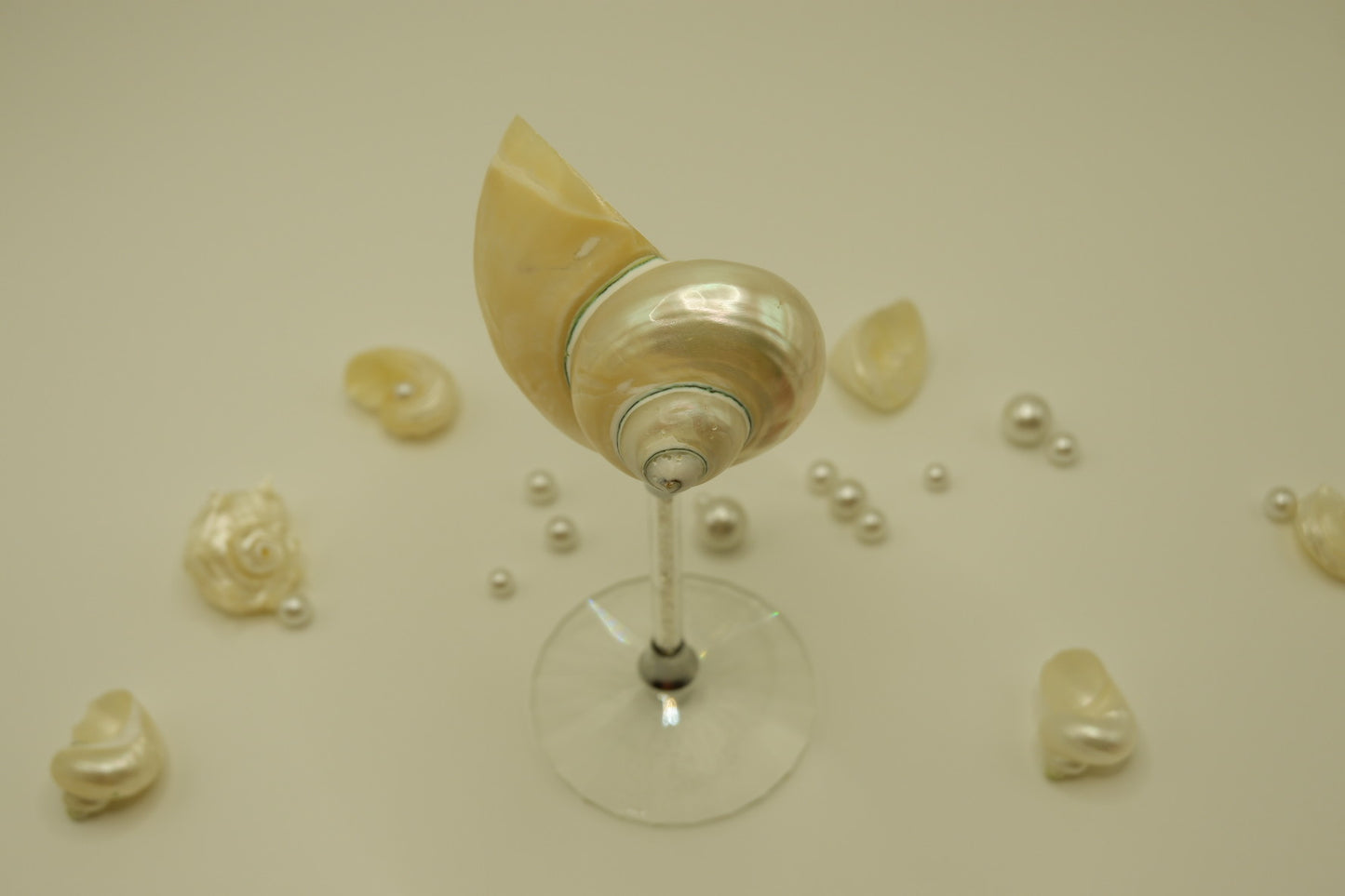 Crystal Conch Cup