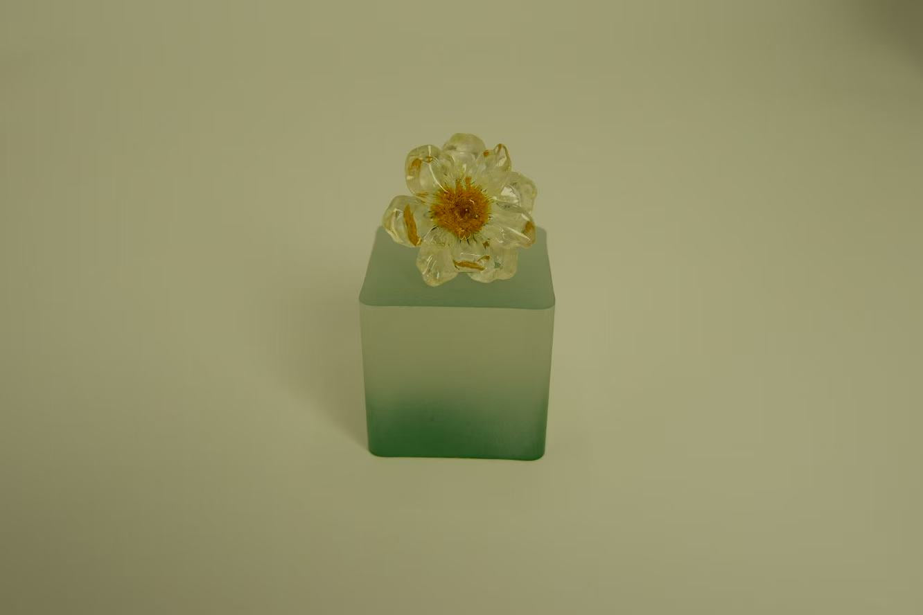 Handmade Dried Flower Resin Daisy Spring Earrings