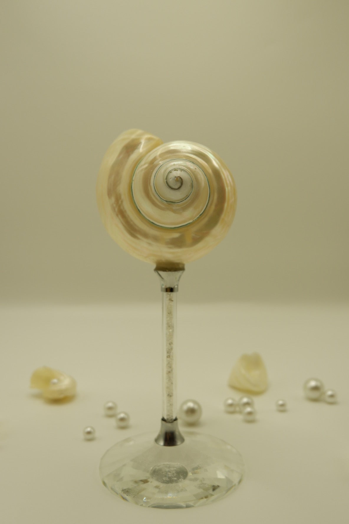 Crystal Conch Cup