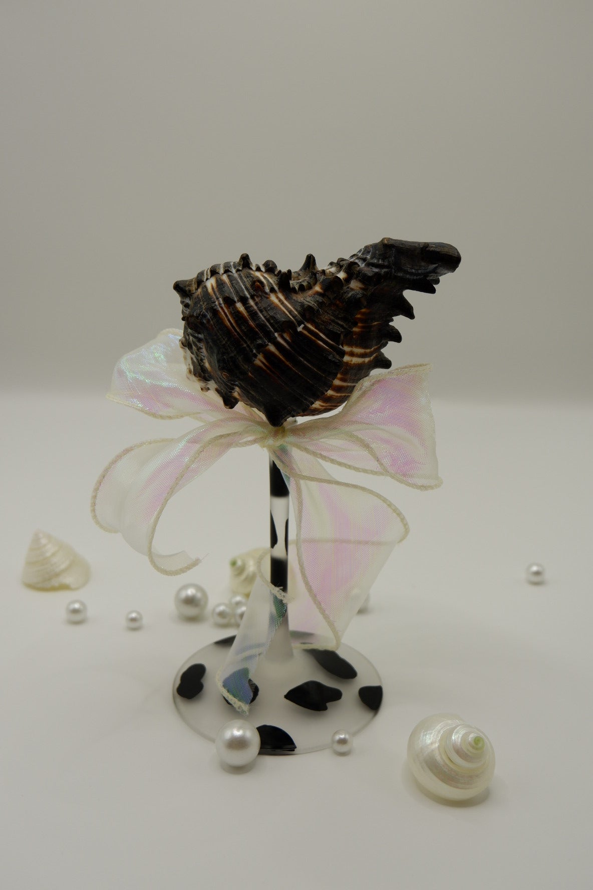 Cow-print conch shell cup