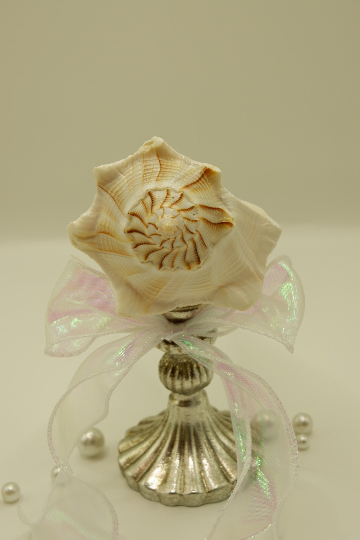 Vintage-style weathered conch shell cup