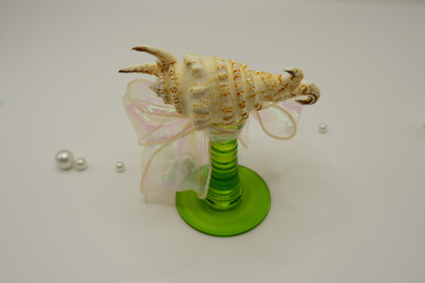 Decorated conch shell cup