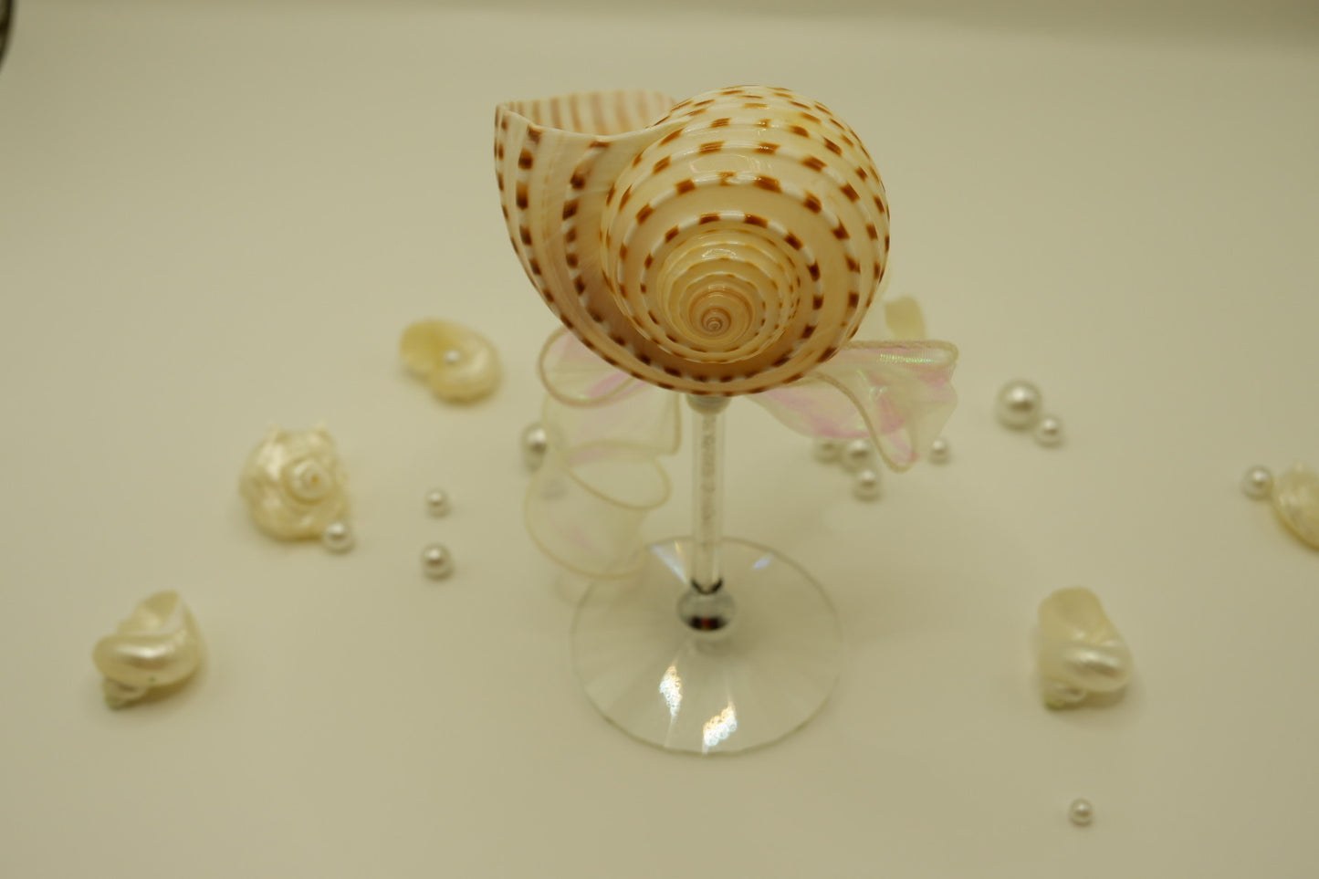 Spotted Conch Cup