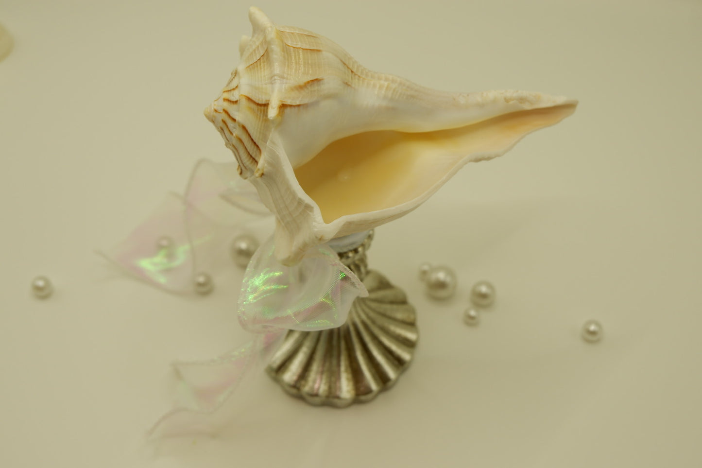 Vintage-style weathered conch shell cup
