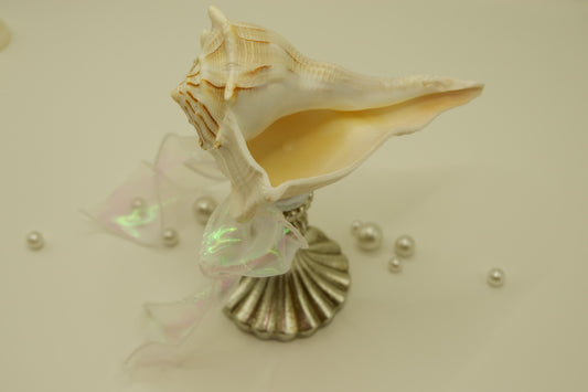 Vintage-style weathered conch shell cup