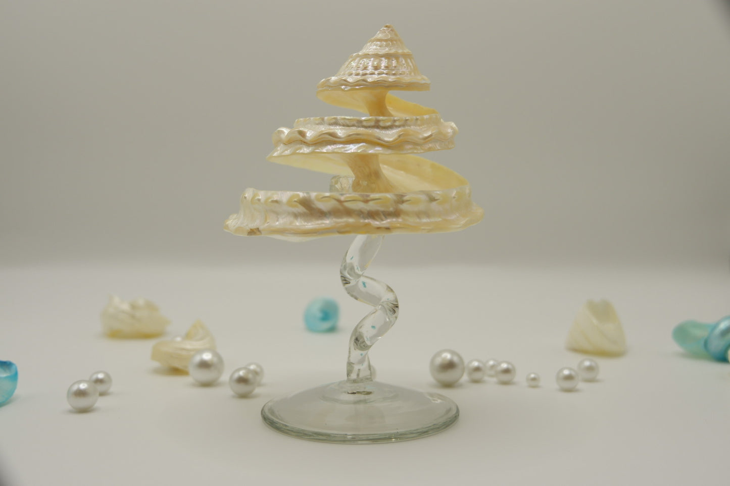 Conch-shaped spiral cup