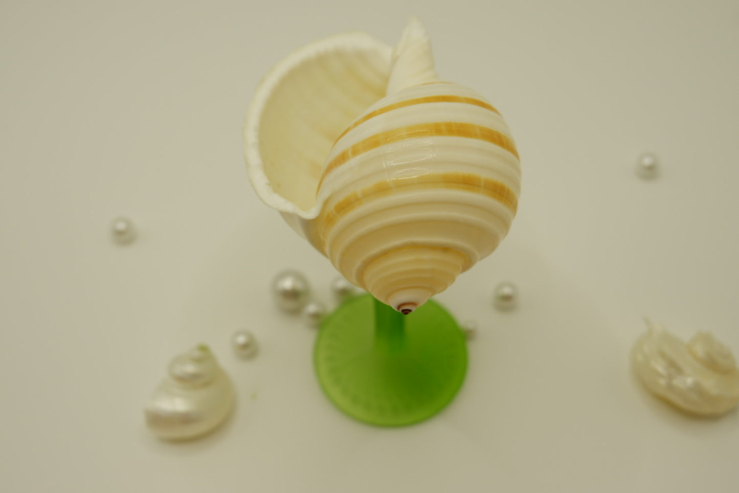 Wavy-patterned conch shell cup