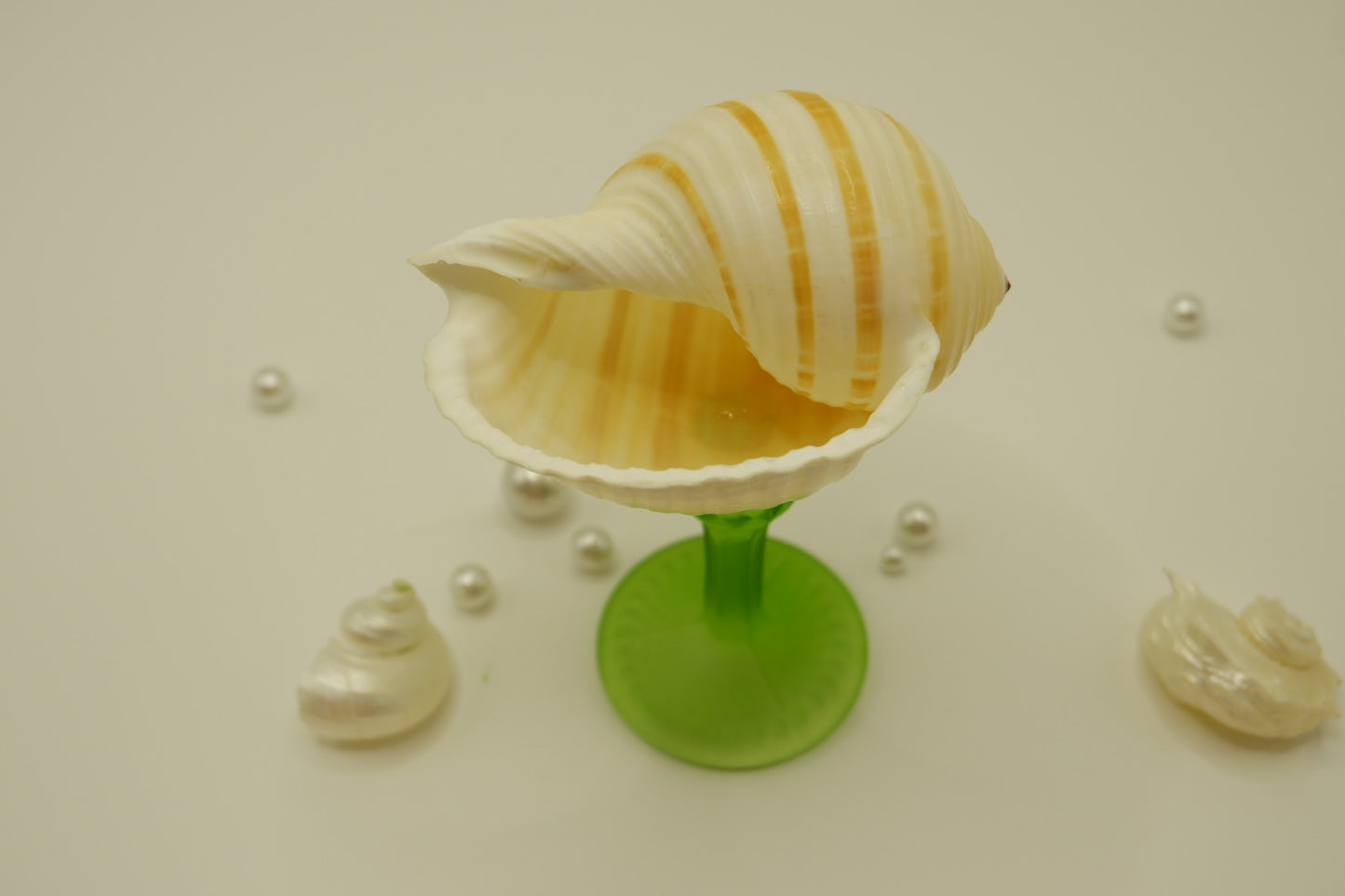 Wavy-patterned conch shell cup