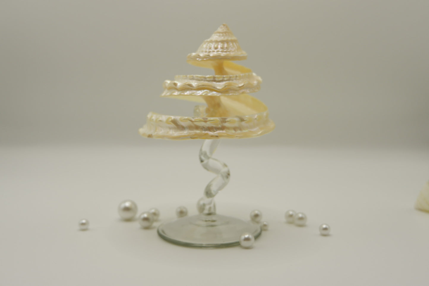 Conch-shaped spiral cup