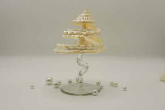 Conch-shaped spiral cup