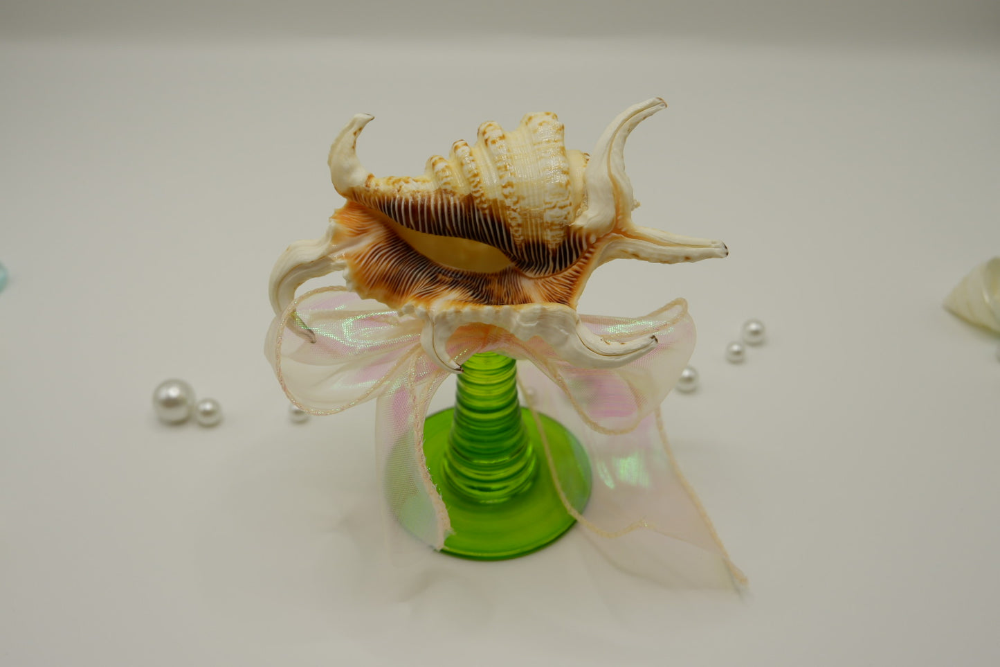 Decorated conch shell cup