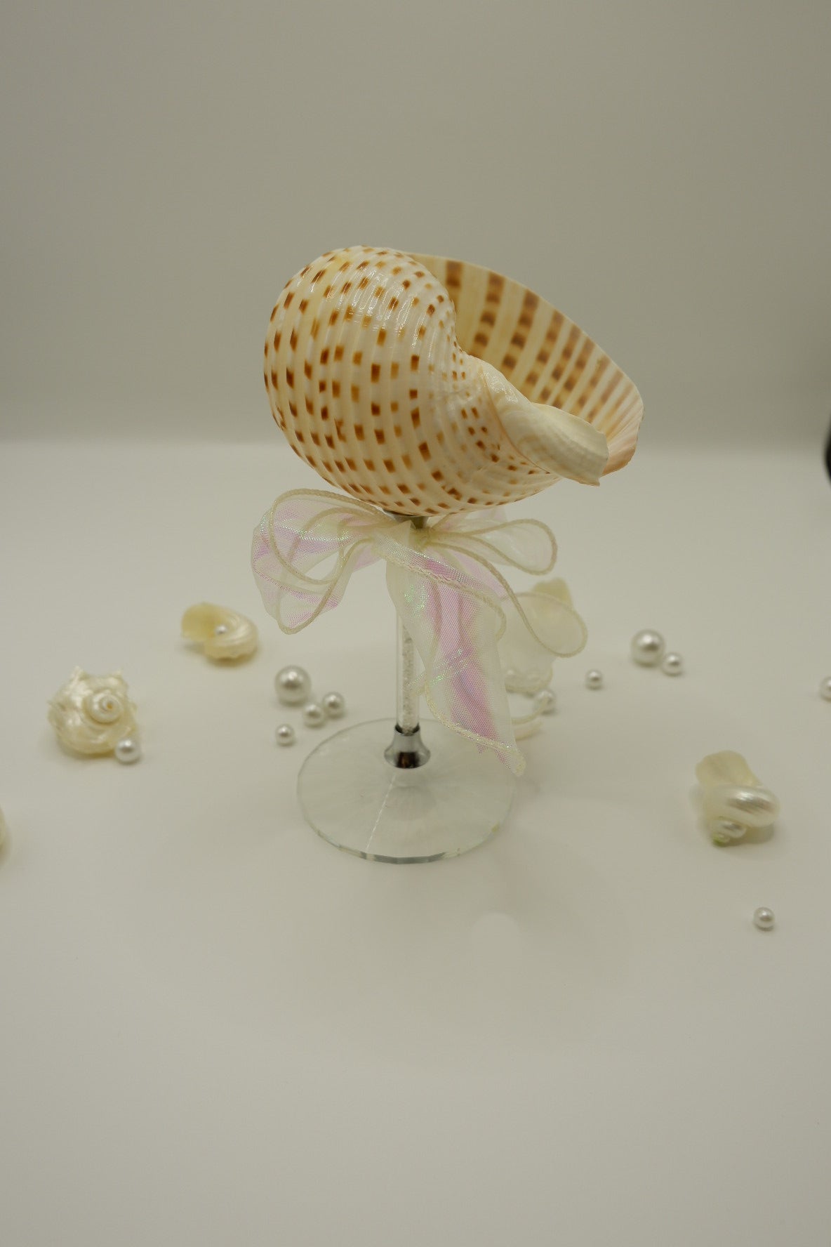 Spotted Conch Cup