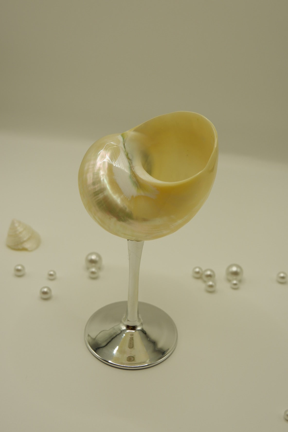 Silver Conch Cup