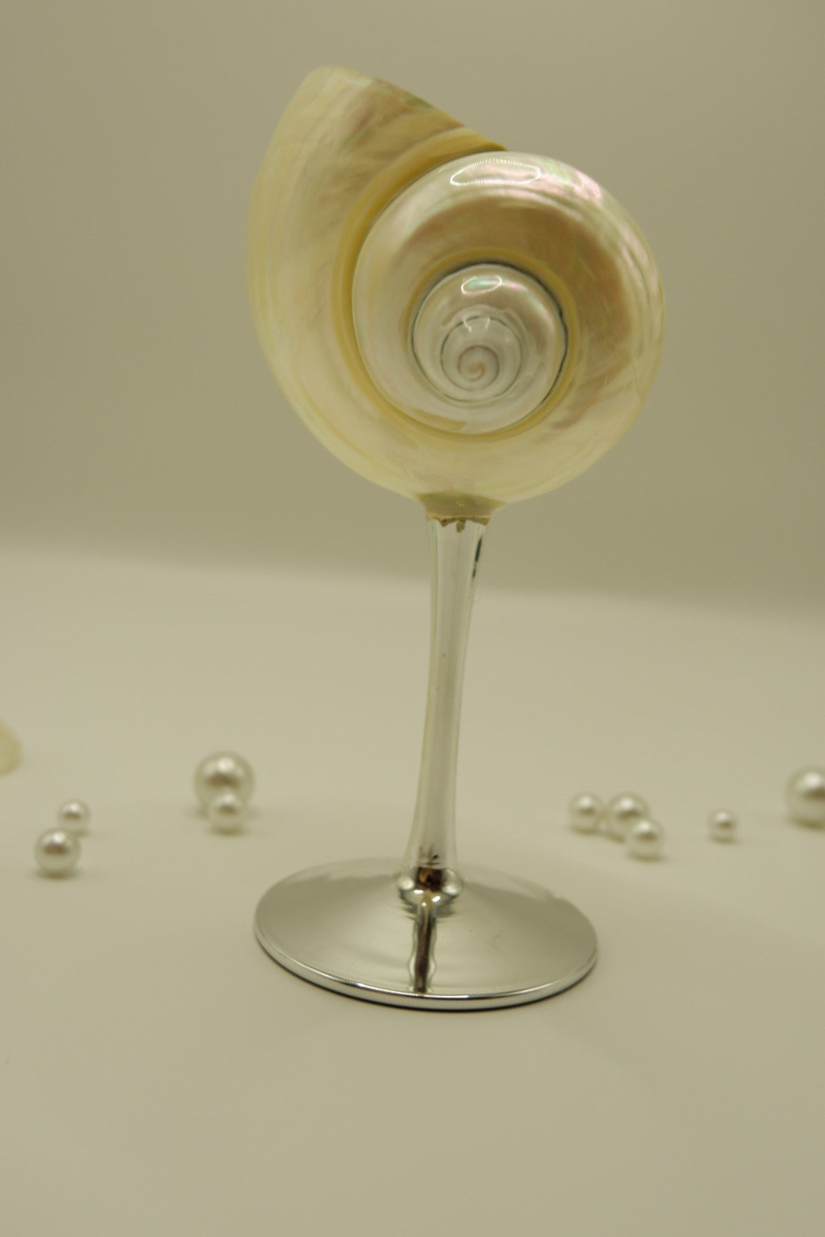 Silver Conch Cup