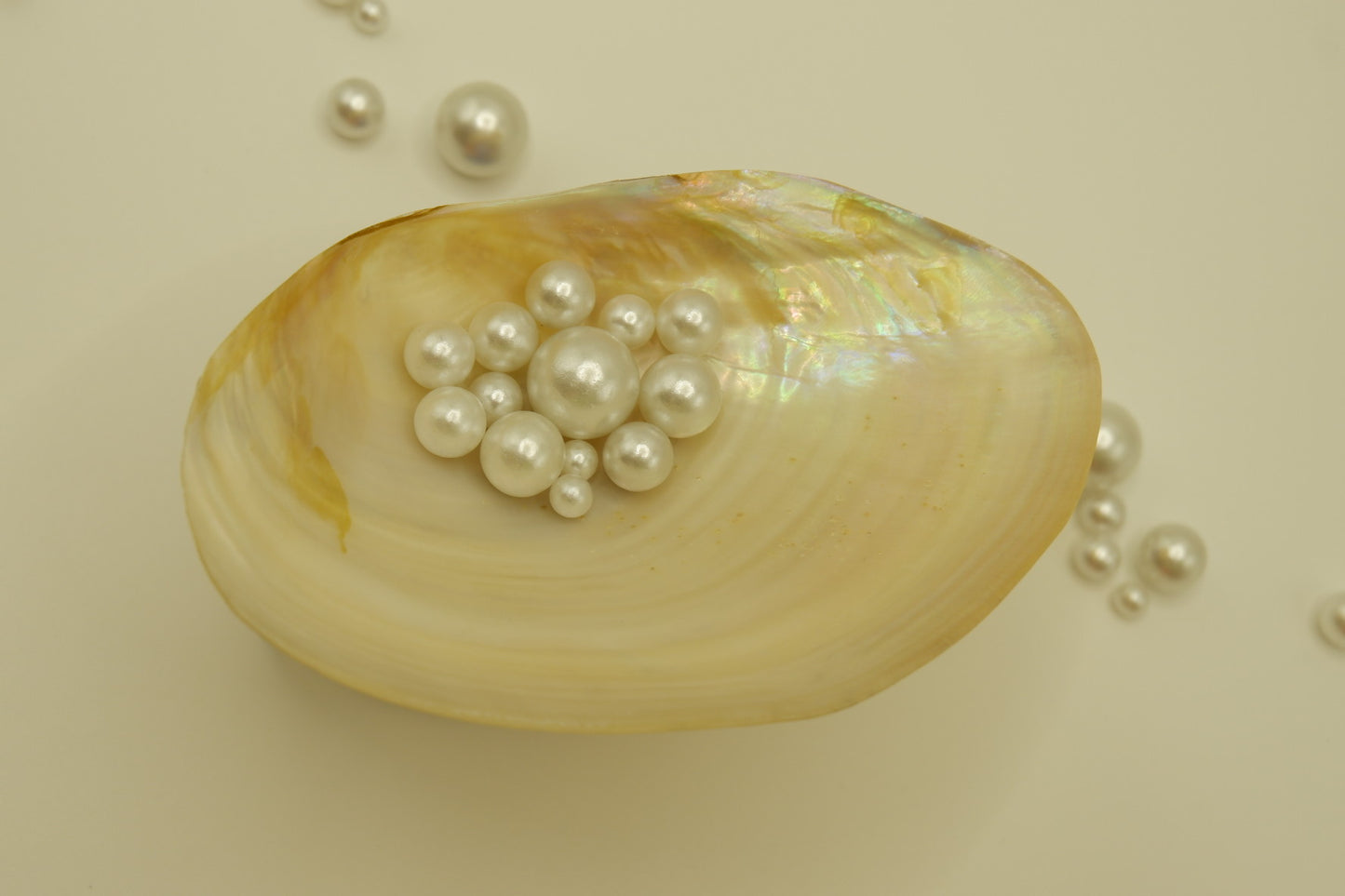 Pearl oyster cup