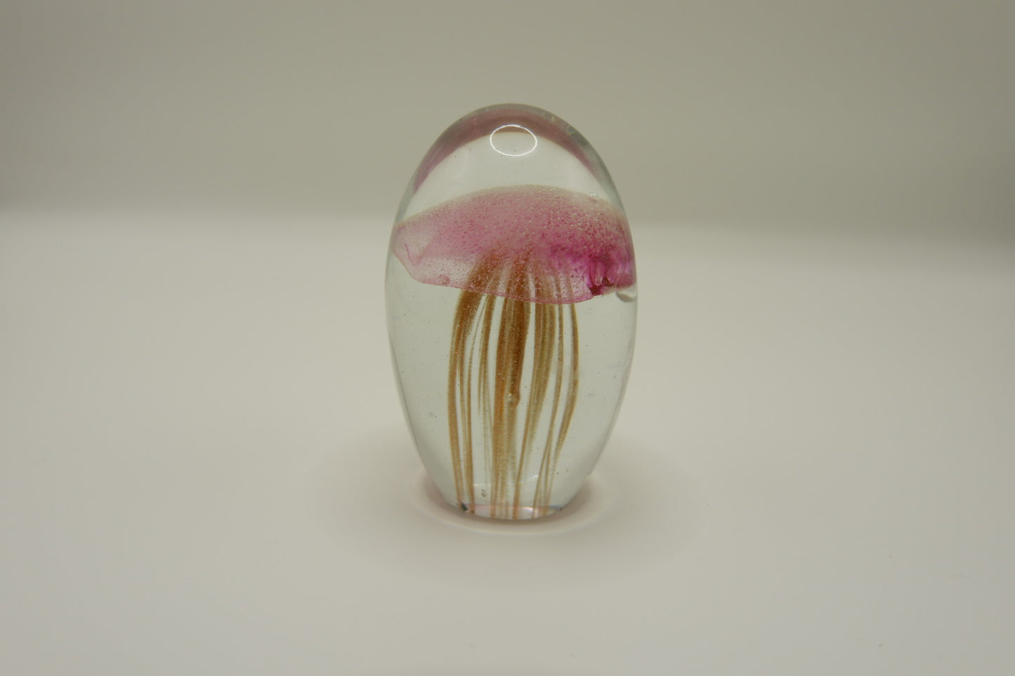 Jellyfish Glass Ornament Night Light