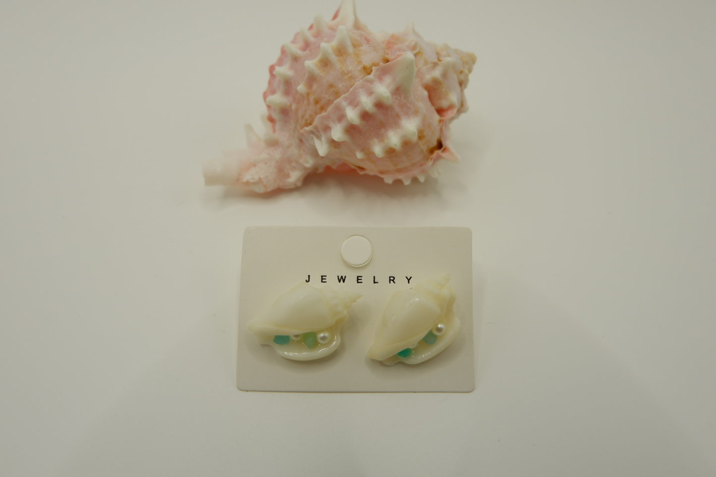 Conch Shell Stud Earrings