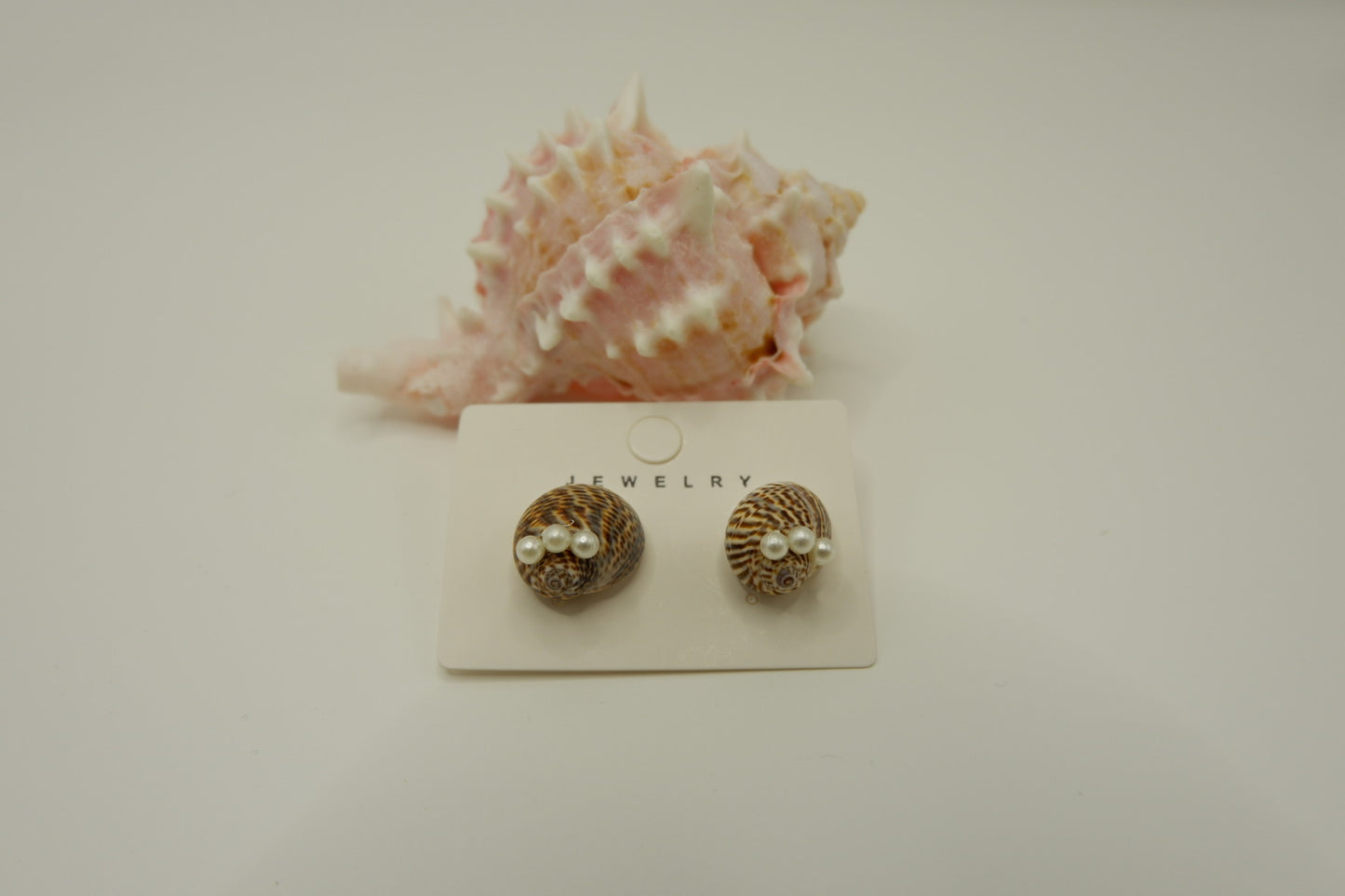 Conch Shell Stud Earrings