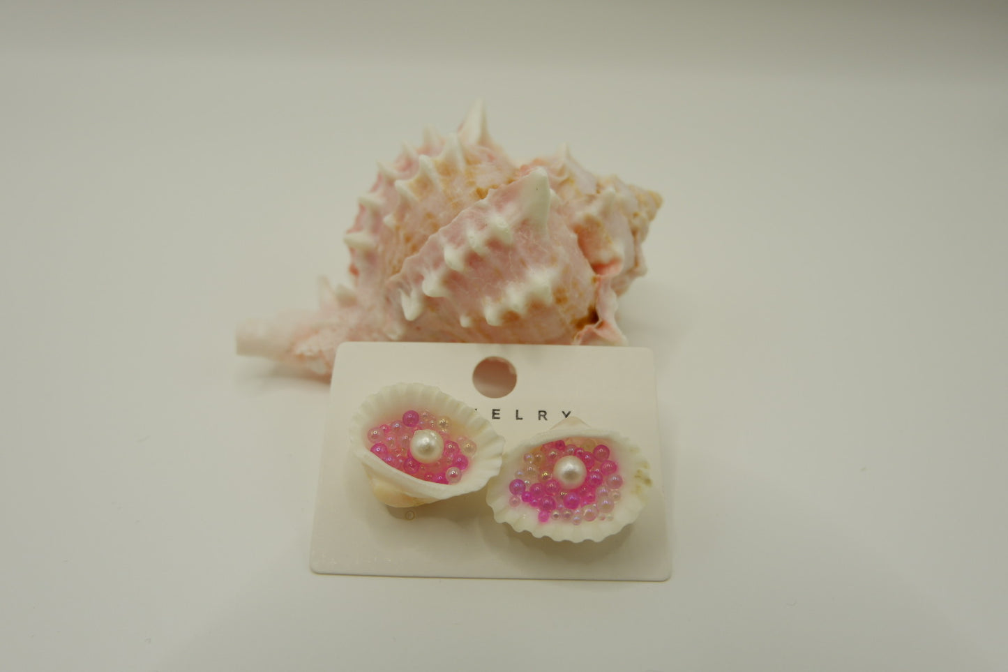 Conch Shell Stud Earrings