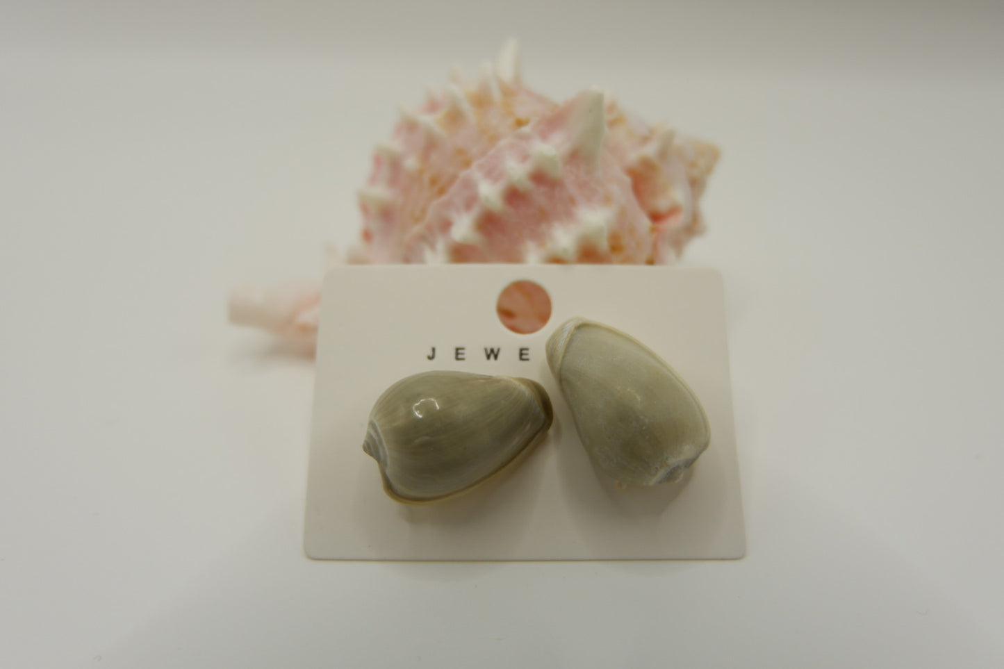 Conch Shell Stud Earrings