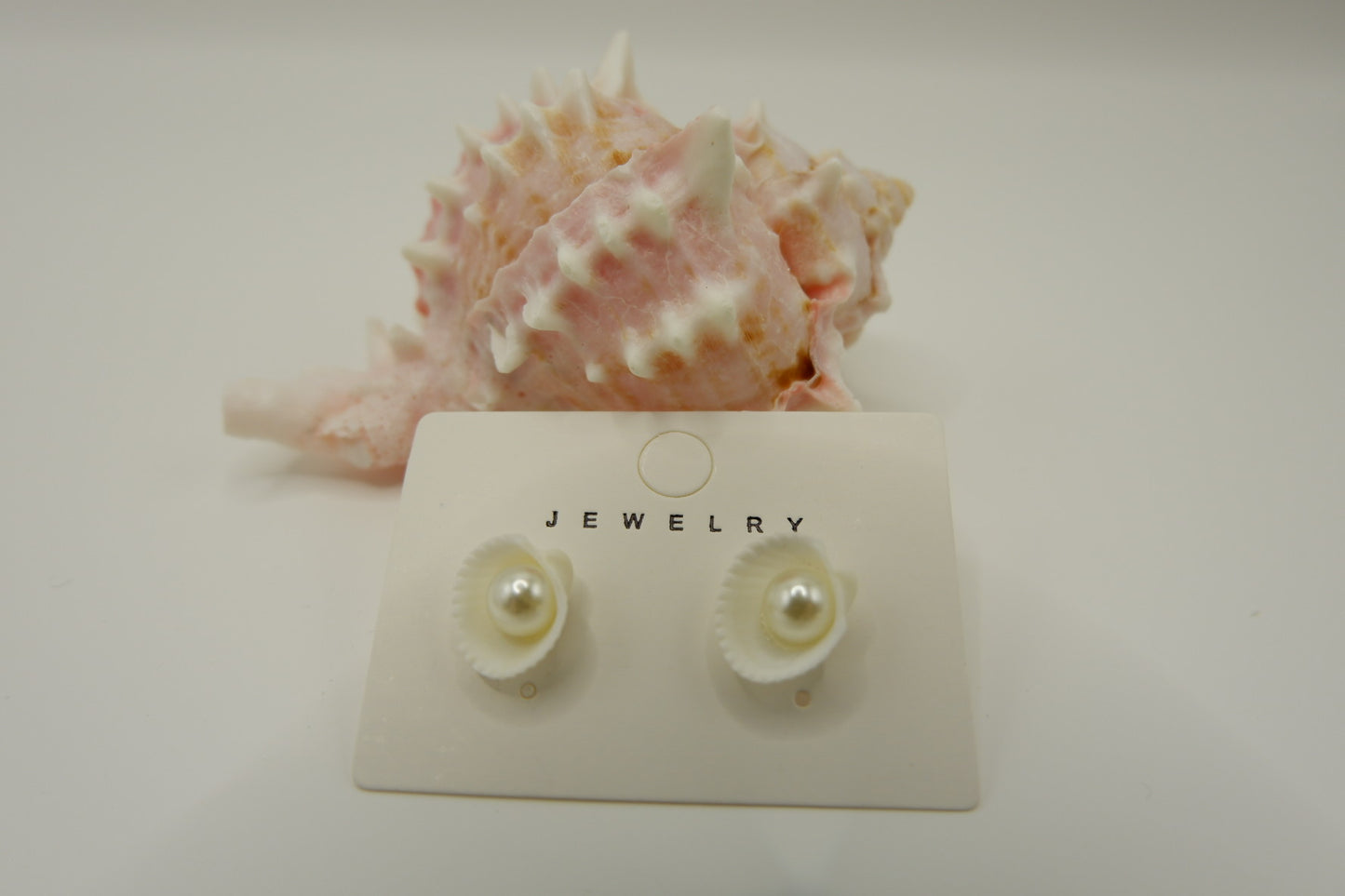 Conch Shell Stud Earrings
