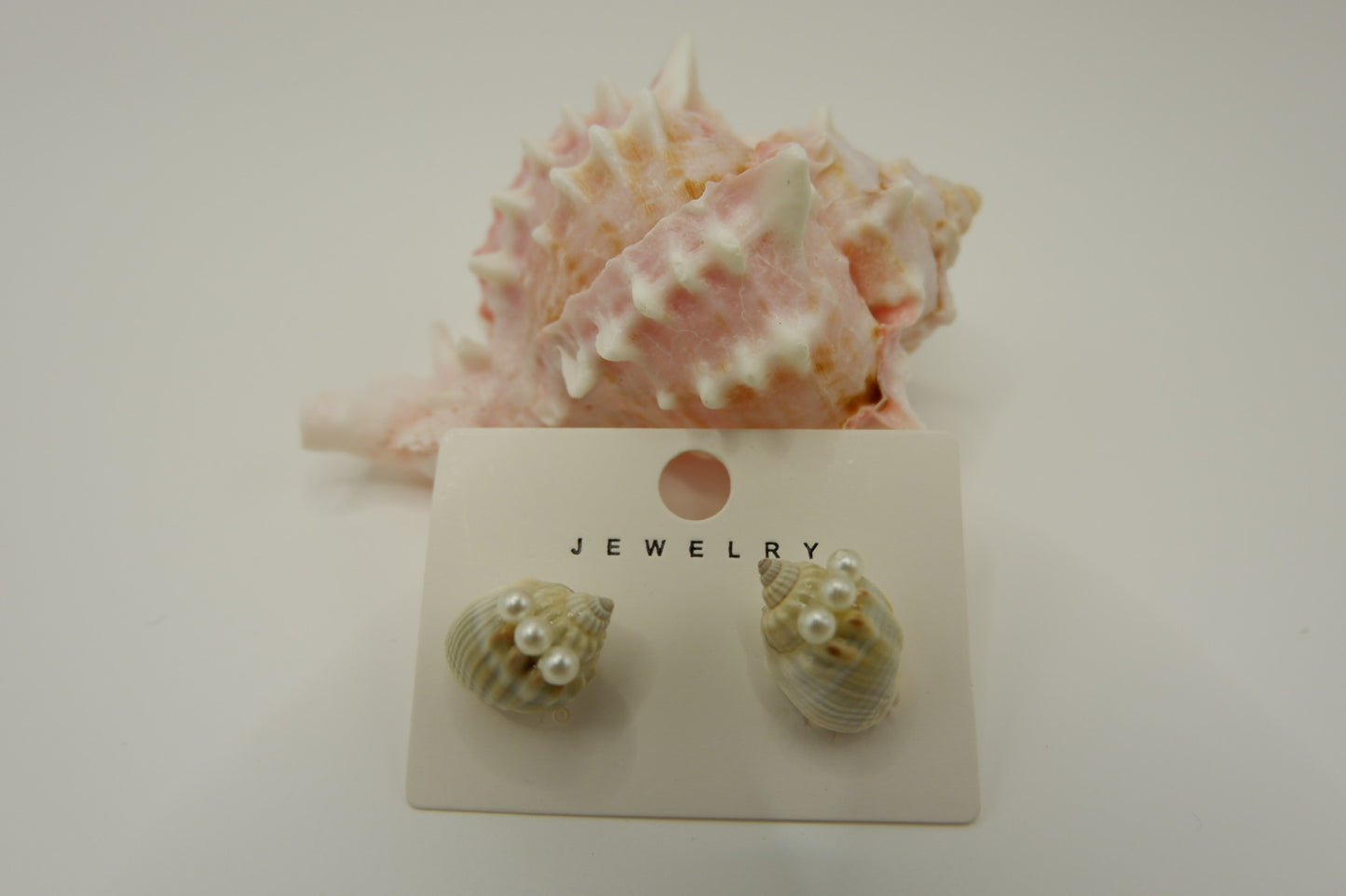 Conch Shell Stud Earrings