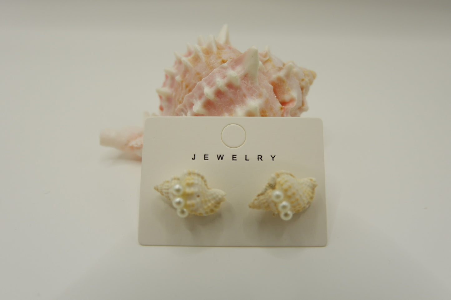 Conch Shell Stud Earrings