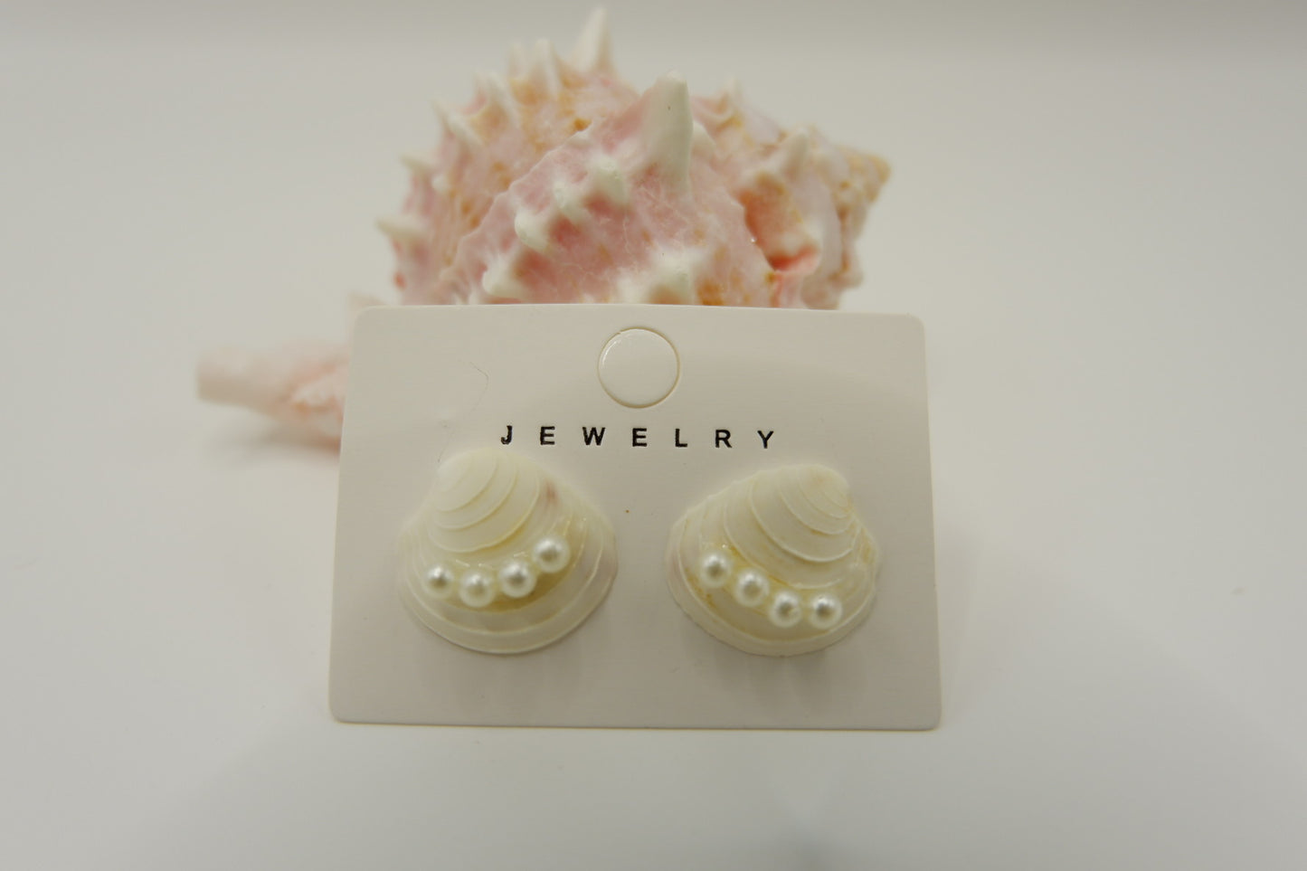 Conch Shell Stud Earrings