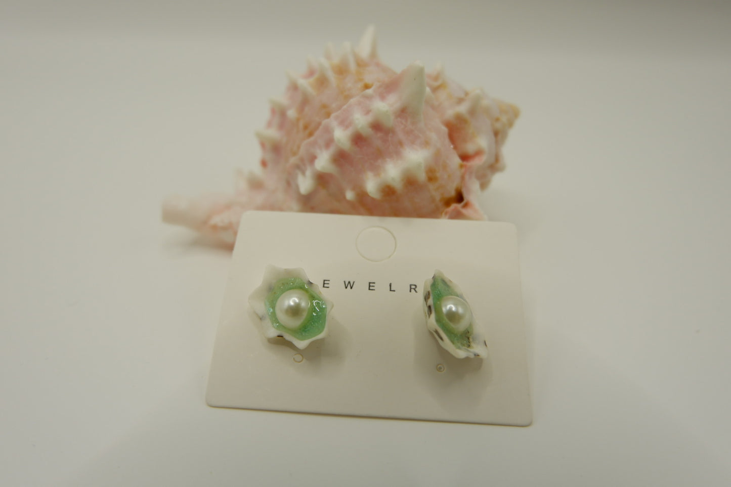 Conch Shell Stud Earrings
