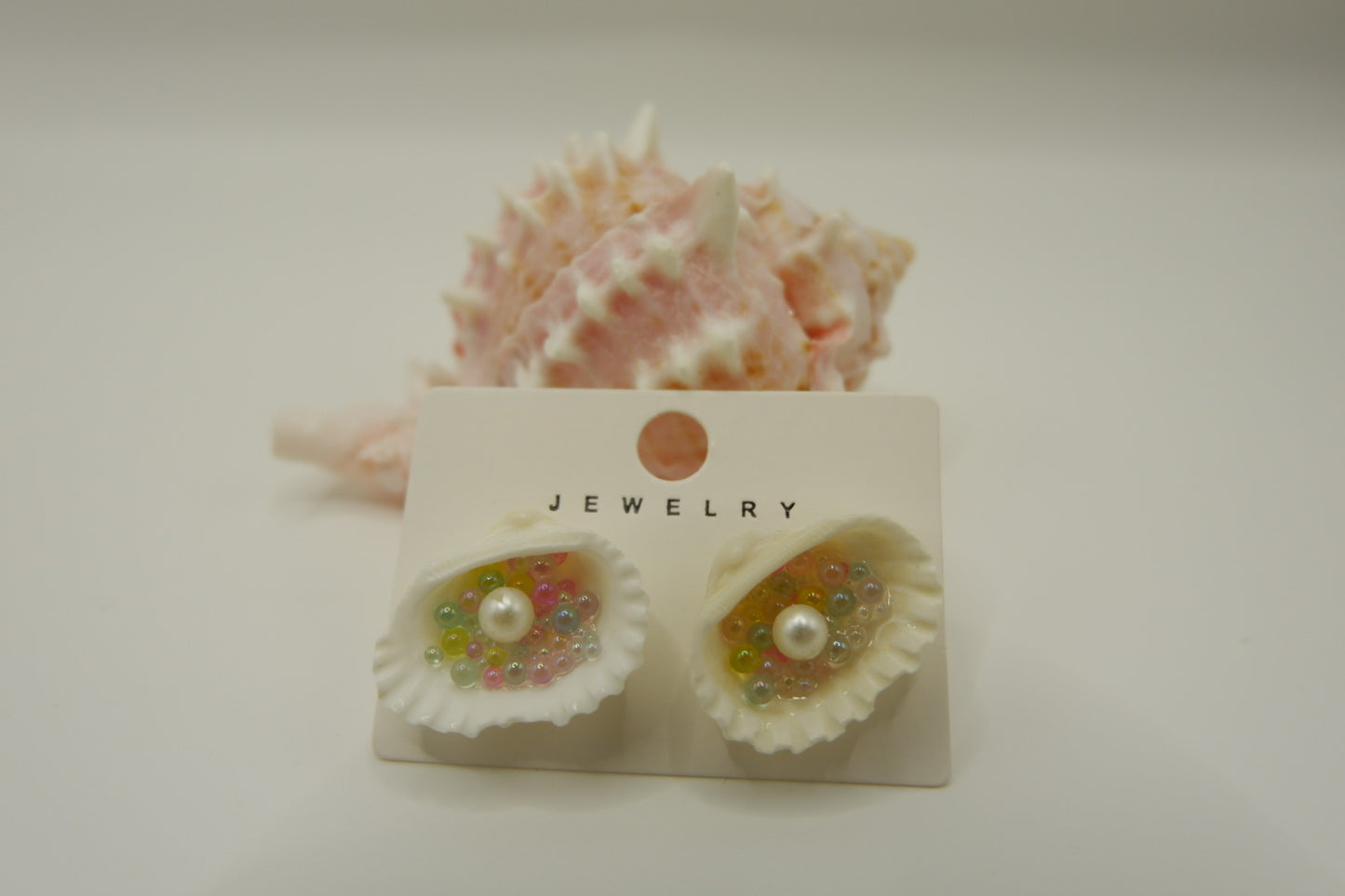 Conch Shell Stud Earrings